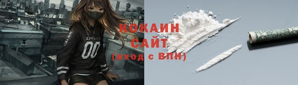 индика Саяногорск