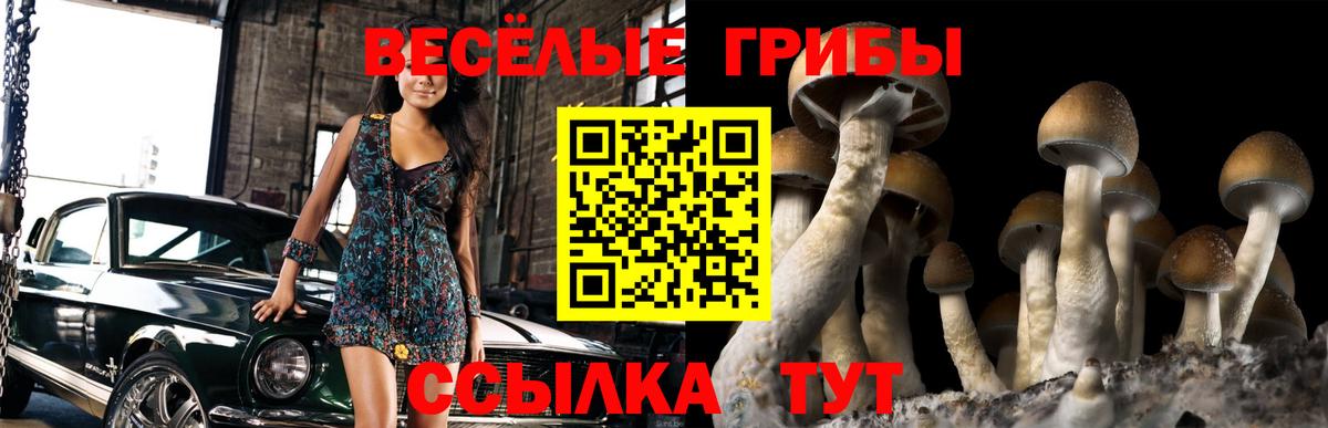 Медногорск  Галлюциногенные грибы GOLDEN TEACHER  где можно купить   Вход с VPN  Галлюциногенные грибы Psilocybine cubensis 